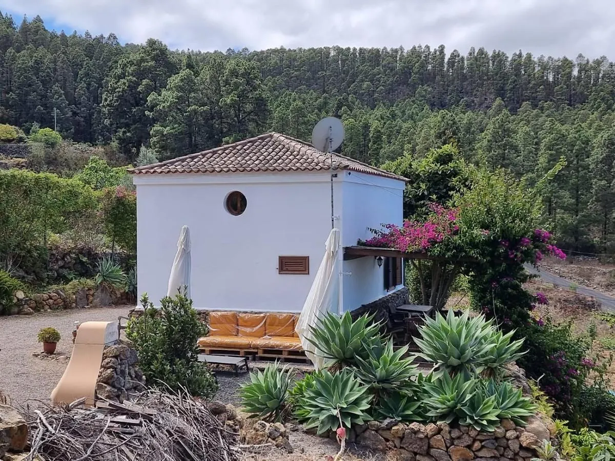 Casa Regina Villa Icod De Los Vinos