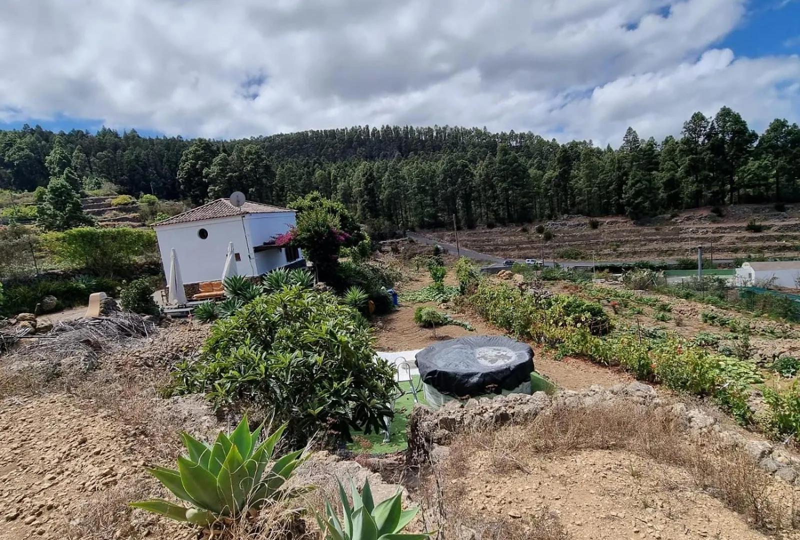 Casa Regina Villa Icod De Los Vinos