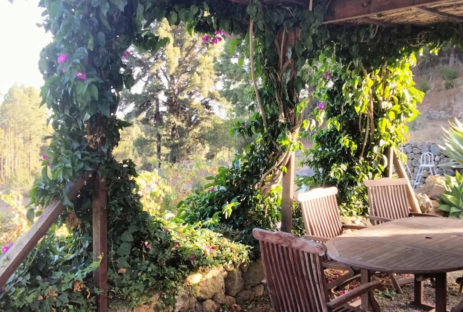 Casa Regina Villa Icod De Los Vinos Spain